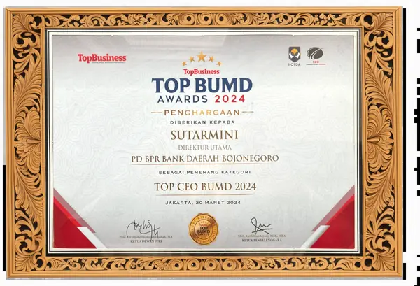 TOP CEO BUMD 2024